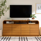 CurvedTV Stand 
